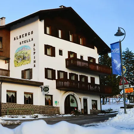Stella Alpina