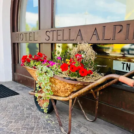 호텔 Stella Alpina 벨라몬테